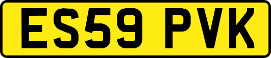 ES59PVK