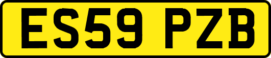 ES59PZB