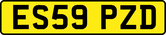ES59PZD