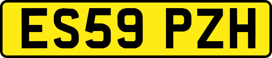 ES59PZH