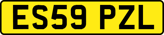 ES59PZL