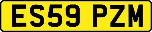 ES59PZM