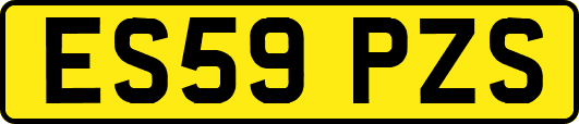 ES59PZS