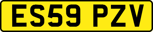 ES59PZV