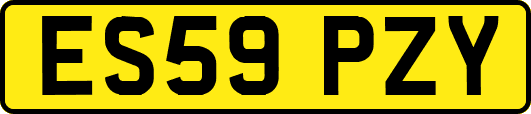 ES59PZY
