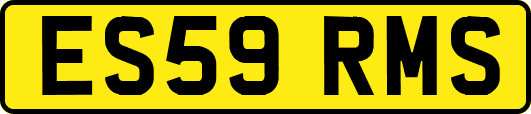 ES59RMS