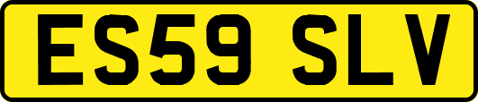 ES59SLV
