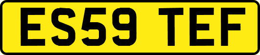 ES59TEF