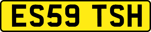 ES59TSH