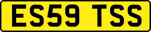 ES59TSS
