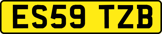 ES59TZB