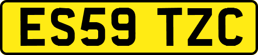ES59TZC