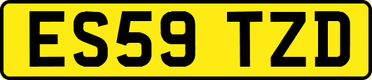 ES59TZD