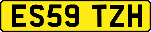 ES59TZH