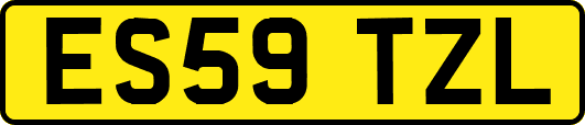 ES59TZL