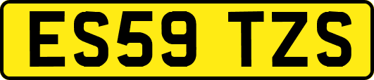 ES59TZS