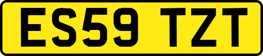 ES59TZT