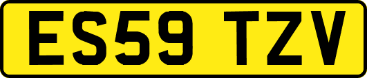 ES59TZV