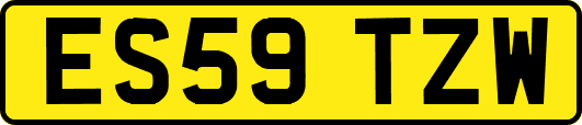 ES59TZW
