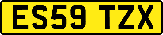 ES59TZX