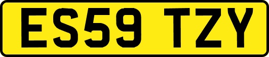 ES59TZY