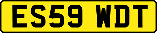 ES59WDT
