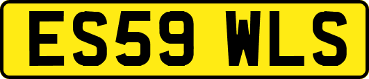 ES59WLS