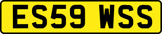ES59WSS