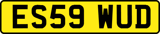 ES59WUD
