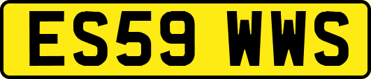 ES59WWS