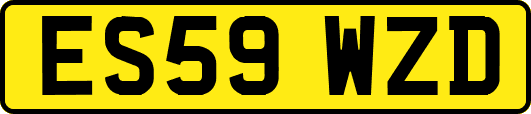 ES59WZD