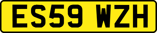 ES59WZH