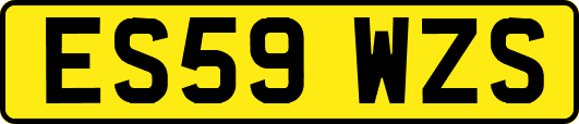 ES59WZS