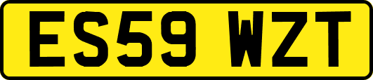 ES59WZT