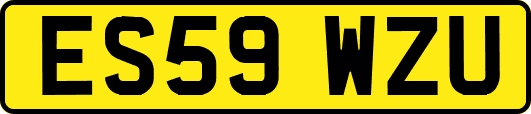 ES59WZU
