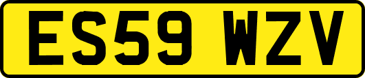 ES59WZV