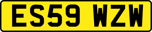 ES59WZW