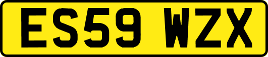 ES59WZX
