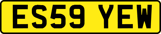 ES59YEW