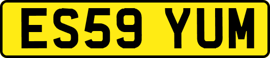 ES59YUM