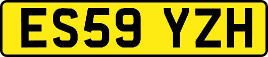 ES59YZH