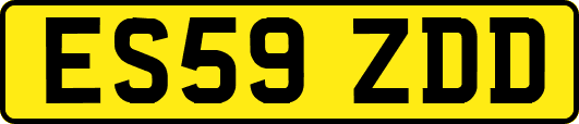 ES59ZDD