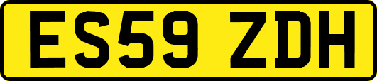 ES59ZDH