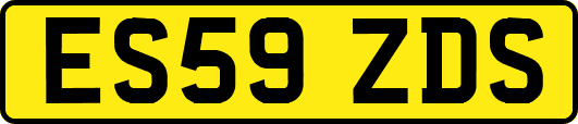 ES59ZDS