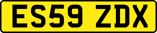 ES59ZDX