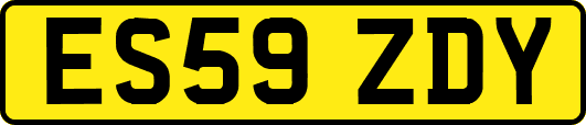 ES59ZDY