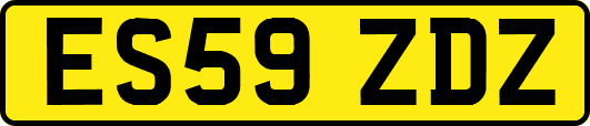 ES59ZDZ