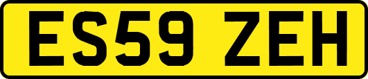 ES59ZEH