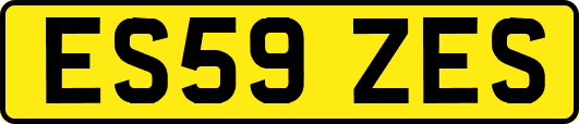 ES59ZES