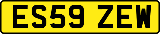 ES59ZEW